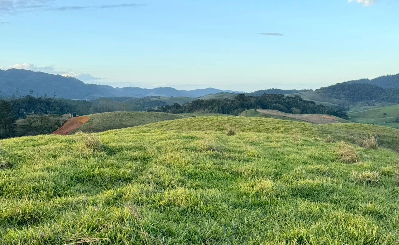 Vista geral da gleba, com a via de acesso sendo aberta ao fundo