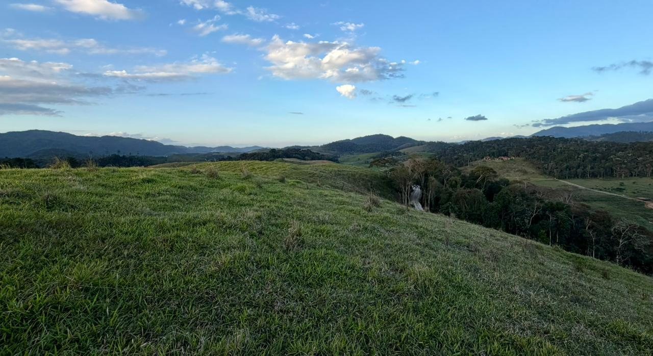 Topo do morro, com vista para o vale e a mata nativa