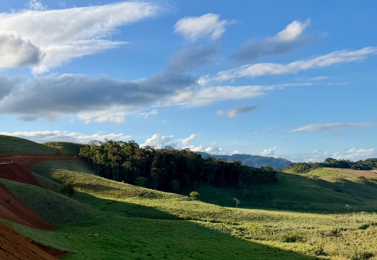 Céu aberto sobre a mata que margeia os lotes