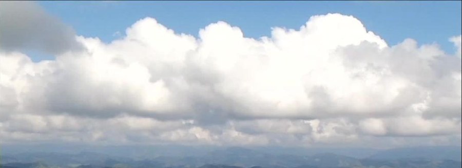 Mata Atlântica preservada na Serra da Beleza